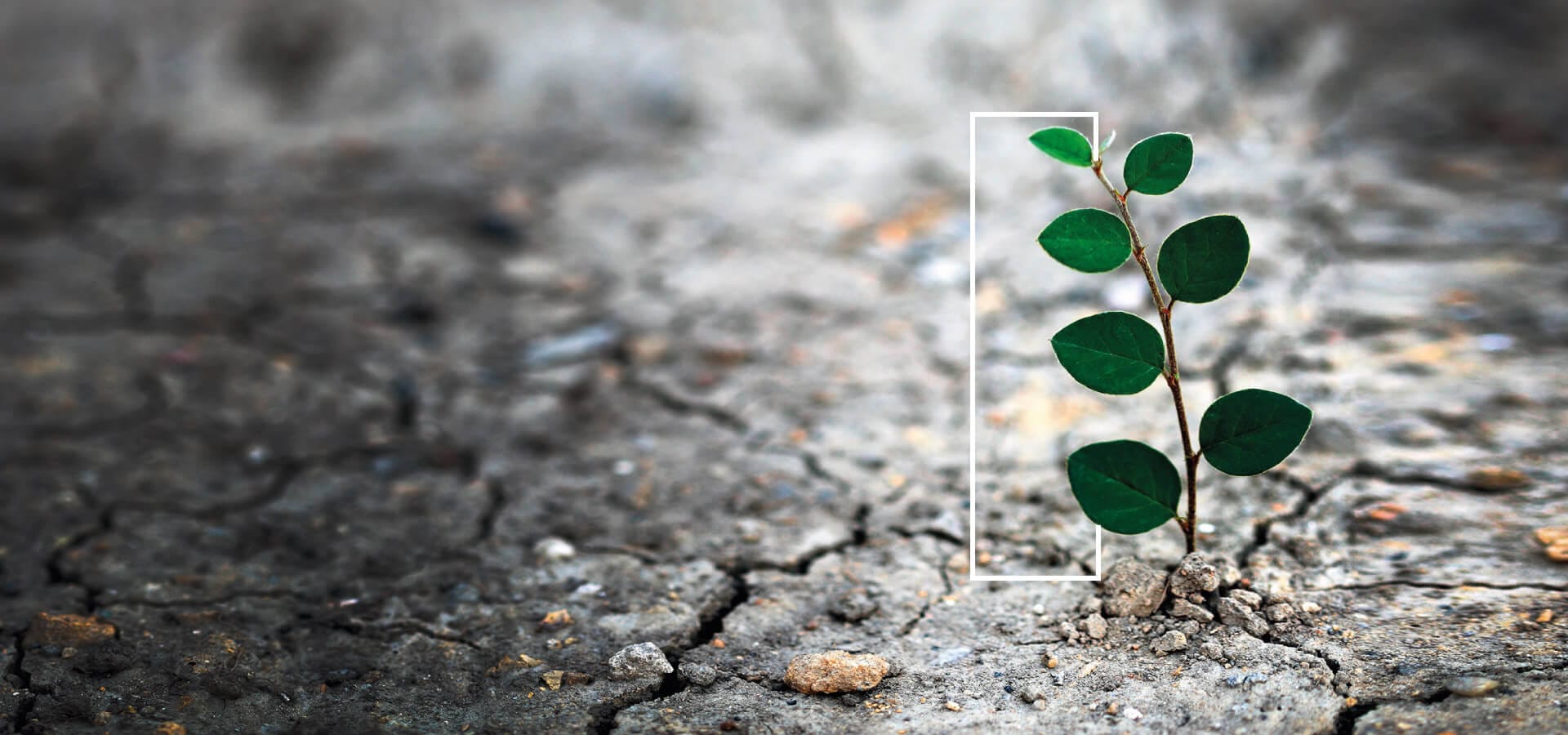 Being Resilient. That's Live Enterprise.